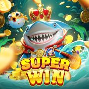 Insbet com
