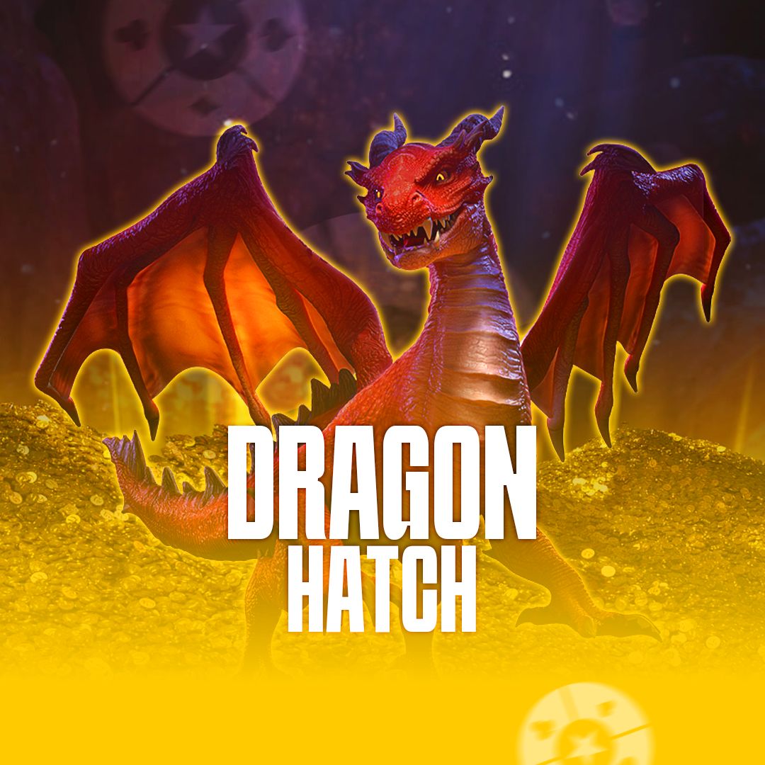 V6bet login